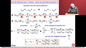 S2UE7_Kotski_4_04032021