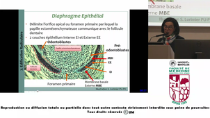 UE9-MOULIS_20260219-065739Z_S1R1.m4v