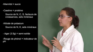 lecture du milieu mannitol mobilité nitraté