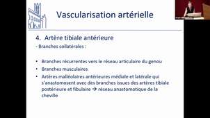 CM9Anatomie_Appareil Locomoteur_DR Julie MATHIEU_DFGSM2_05102023