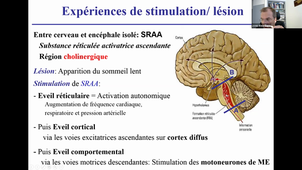 06/10/2021 10h-12h MTP Anat  Nîmes Chalet DFGSM2 CM 19 Appareil neuro DAUVILLIERS Yves