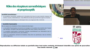 UE4_INIDRY_20260219-085713Z_S1R1.m4v