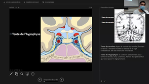 23-09-2021-DFGSM2-CM12-Appareil-neurosensoriel-Hamard-A