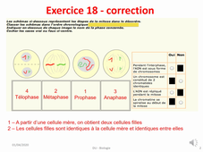 DU-Biologie - Correction exo 18