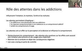 SUITE MÉTACOGNITIONS ET ATTENTES LIÉES AUX CONSOMMATIONS  - EMELINE CHAUCHARD