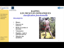 Theorie_Therapie_Techniques myofaciales_Angers_2020