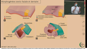 S2UE9_Collart-Dutill_PASS-PHARMA_20220201-