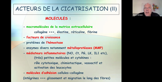 Cicatrisation 2022