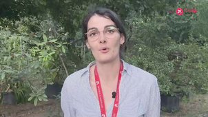 Afterwork de l'innovation