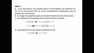 (08/10/2020) 10h ED4 S205 Karina Moubri Menage