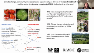 Projet CLIMDIVTOV et Questions.mp4