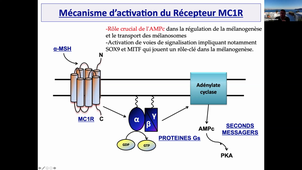 26/01/2021	14:00	16:00	DFGSM3 UE Revêtement cutané CM4 et 5	Laurent MEUNIER	Amphi Rabelais