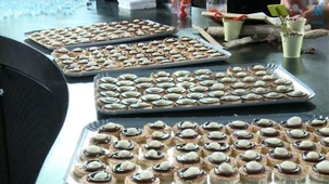 Chimie et Sciences Culinaires