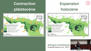 GDR Bois - Julie Morin