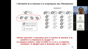 HLBI619-Cours 3 mars-BT