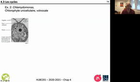 HLBE201-Chap 4-cours 10