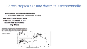 EcologieForêtsHAG701b.mp4