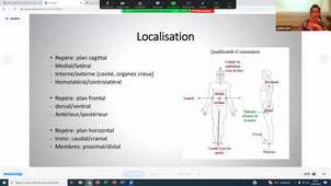 CM 1 Anatomie - Appareil Locomoteur - Dr Martha DURAES - 29-08-2023