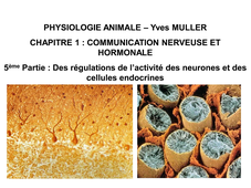 LICENCE DE BIOLOGIE Cours de Physiologie animale  CHAPITRE 1 : COMMUNICATION NERVEUSE ET HORMONALE  5ème Partie : Des régulations de l’activité des neurones et des cellules endocrines