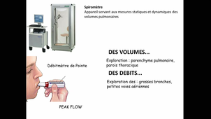 (19/10/2020) 08h ED2 310 - Appareil respiratoire	TAULAN M - BOULLE N - CHENIVESSE D