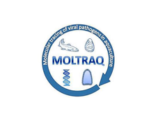Colloque MOLTRAQ avec Britt Bang Jensen