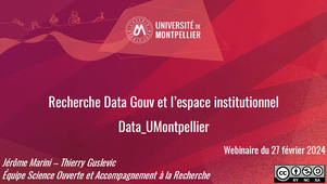 Recherche Data Gouv et l'espace institutionnel Data_Umontpellier