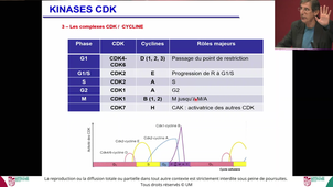 UE3 ECUE 3.1 - CARILLO - Bio Cell - 01/10/2025