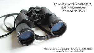 Veille informationnelle - Introduction (1/4)