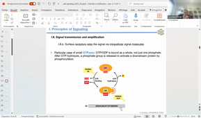 TU03 - CELL SIGNALING - E. CORNILLOT - 24-11-2025.mp4