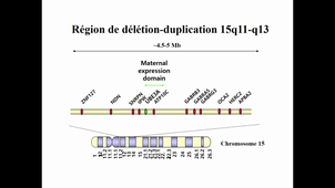 05-11-2021-DFGSM2 et 3-DFGSMA2-3-CM6 et 10-Génétique-J.Chiesa