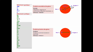 26/02/2021	14:00	15:00	DFGSM2 Tissus sanguins Hématologie : les groupes sanguins ABO , rhésus, kell et leur utilisation (CM12)	Dr BOUIX Olivier	Amphi Anatomie	DFGSM2
