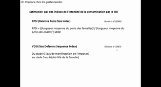 Perturbateurs endocriniens 2