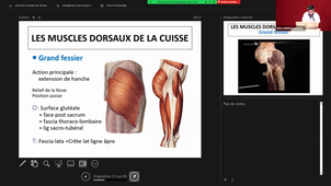 CM 8 Anatomie - Appareil Locomoteur DR Julie Mathieu 29/09/2023