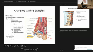 23-09-24-DFGSM2-App neuro-S Coudray-CM7.mp4