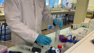 Western Blot