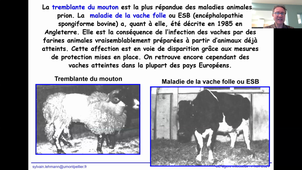 Cours Prion 2021 UE agents infectieux