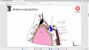 DFGSM2 UE : TÊTE ET COU - CM3 Muscles et fascia de la tête et du cou - Vascularisation artérielle, veineuse, lymphatique Pr. Captier - 10/02/2026