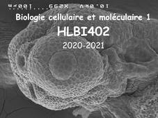 21 HLBI402 n°21 B-B 130421