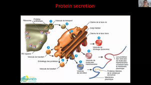 TU03 - VIRUS MEMBRANE - E. Cornillot - 25-11-2025.mp4