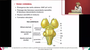 ECUE PHG - PR MULLER - 12/11/2024