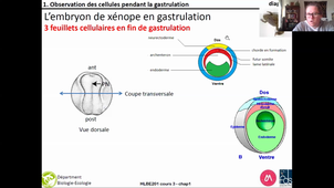 HLBE201-cours3-chap1