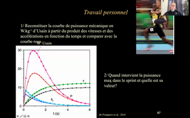 L1 UE12 A bioméca candau video du cours du 6 nov 10-12h