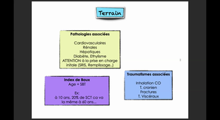 DFASM2 MIF (04/11/2020) Brûlures HERLIN Ch. 309 MIF