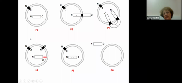 S1 UE2 PACES ED 2 25/09/2020