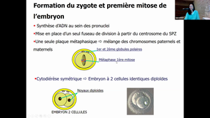 29/11/2021 14h-16h MTP Anat  Nîmes Chalet    DFGSM 2 UE Reproduction fertilité  Fatima BARRY CM 14