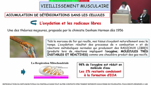 S2UE4_Hayot_2_20022024.m4v