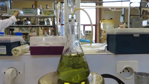 Epiic-2019_CBD2_1 Al'GO.mp4