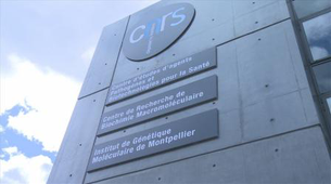 La plate-forme CEMIPAI du CNRS.