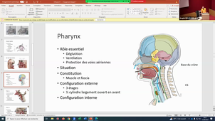 DFGSM3-CM 4.1 Anatomie - Appareil respiratoire Pr Captier 12/09/2023