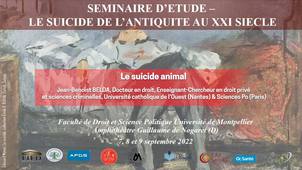 Séminaire d’étude : le suicide, de l’antiquité au XXIème siècle - Le suicide animal